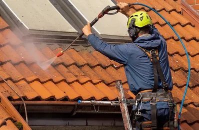 Démoussage et hydrofuge de toiture à Mozac
